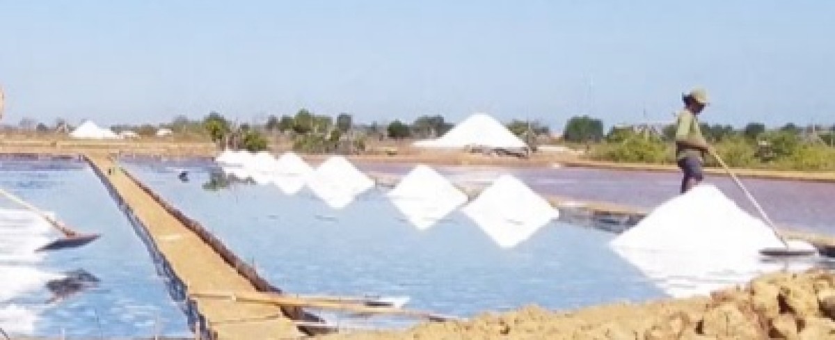 Petani Garam (Foto: Rosi for jatimnow.com)