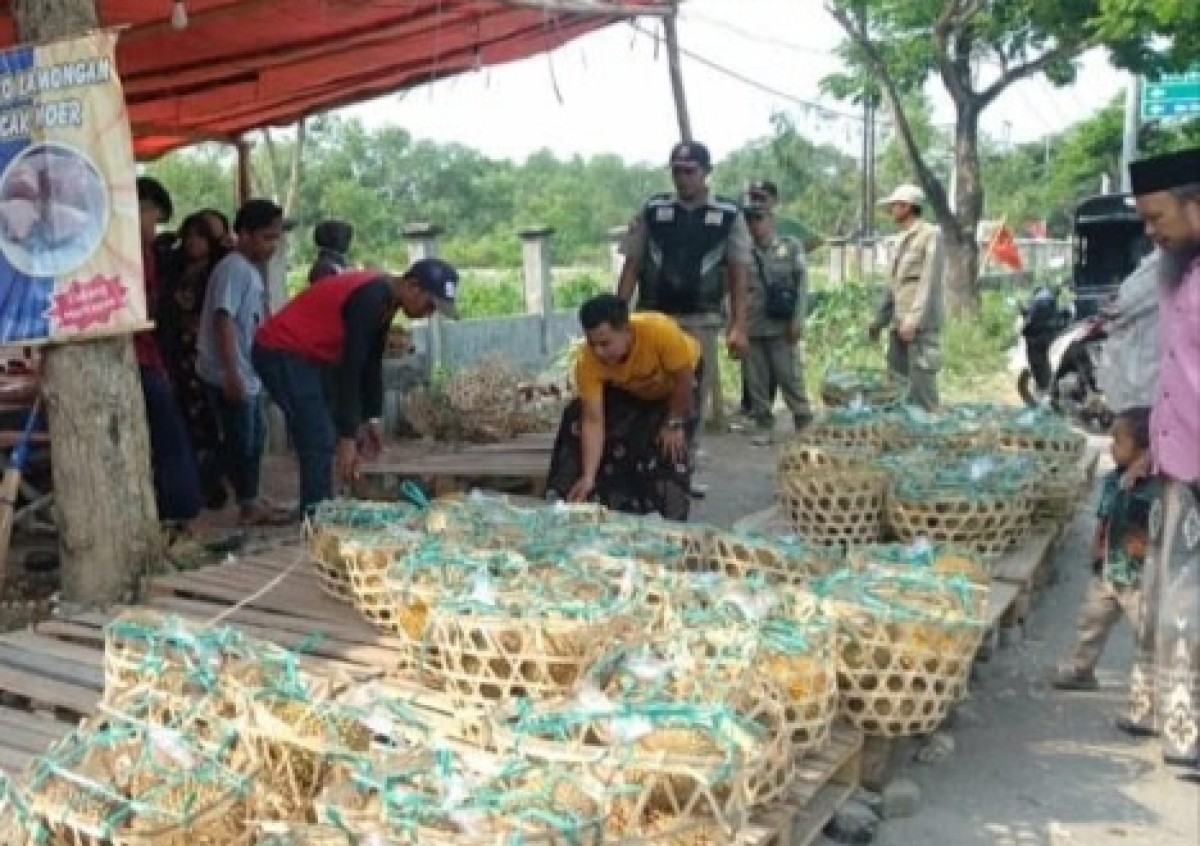 Pedagang durian musiman ditertibkan Satpol PP Bangkalan. (Foto: Umar for jatimnow.com)