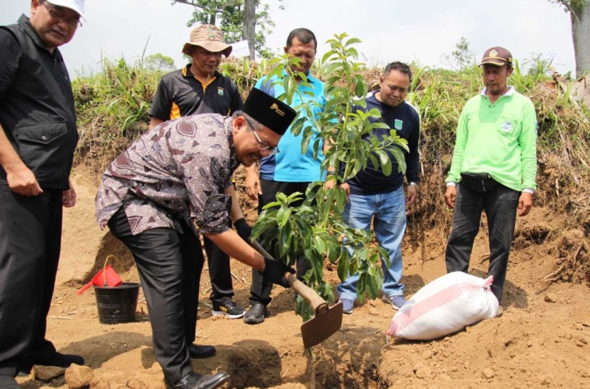 Pj Bupati Pasuruan Andriyanto bersama jajaran Pemkab Pasuruan dan warga setempat melakukan penanaman pohon di kawasan Wisata Kampung Kopi Dusun Tonggowa, Desa Jatiarjo, Kecamatan Prigen. (Foto: Kominfo Pemkab Pasuruan for jatimnow.com)
