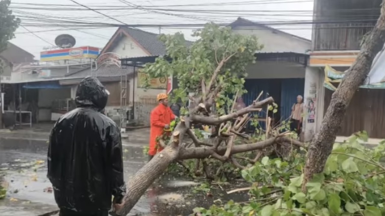Penanganan pohon tumbang oleh BPBD Kota Kediri. (Foto: Instagram BPBD Kota Kediri)