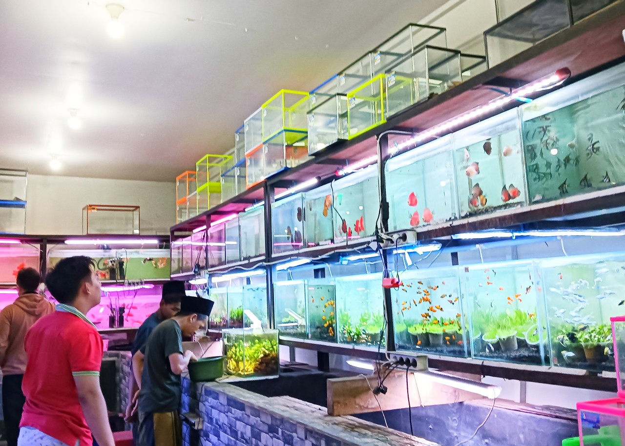 Kios ikan hias milik Fandi. (Foto: Ahaddiini HM/jatimnow.com)