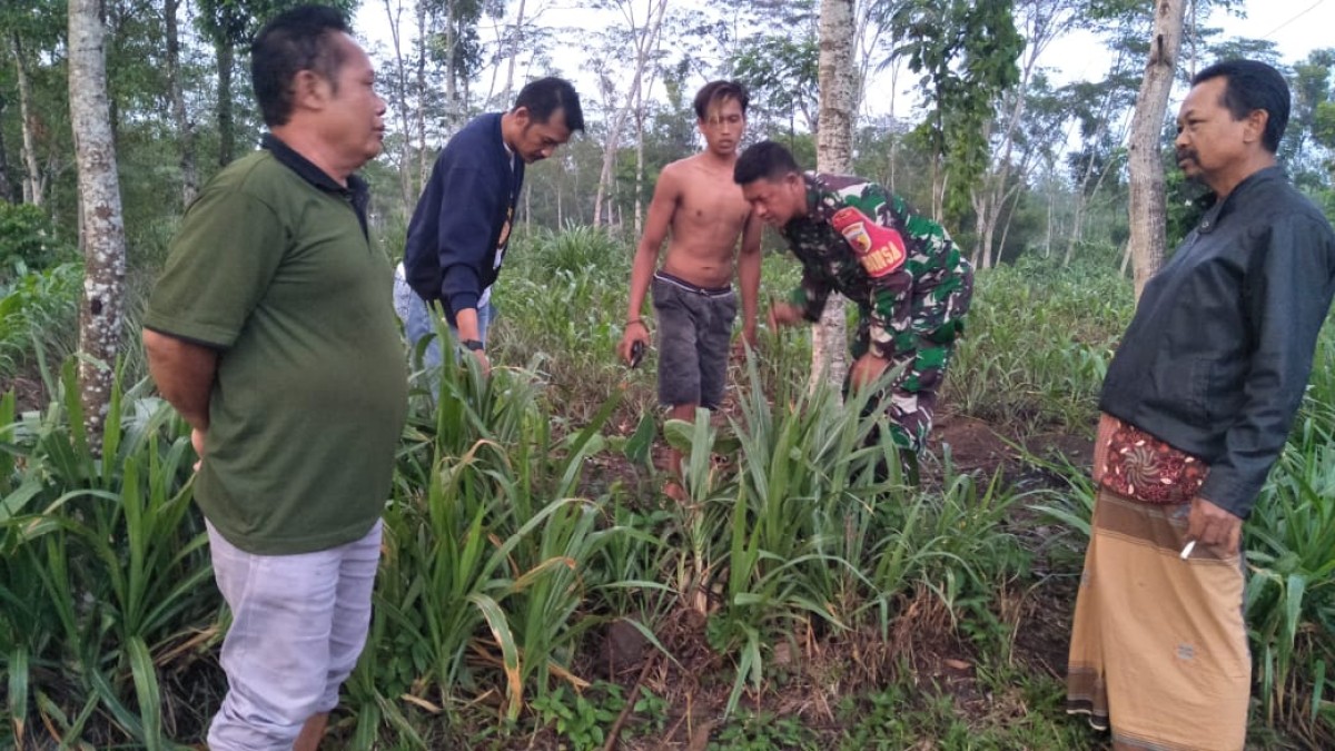 Bayi Perempuan Ditemukan di Area Persawahan Blitar