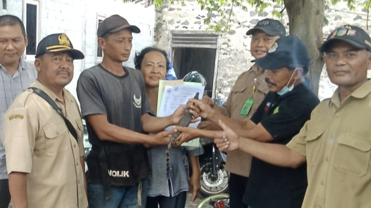 Anak Buaya Muara Muncul di Pekarangan Rumah Warga Plosoklaten Kediri