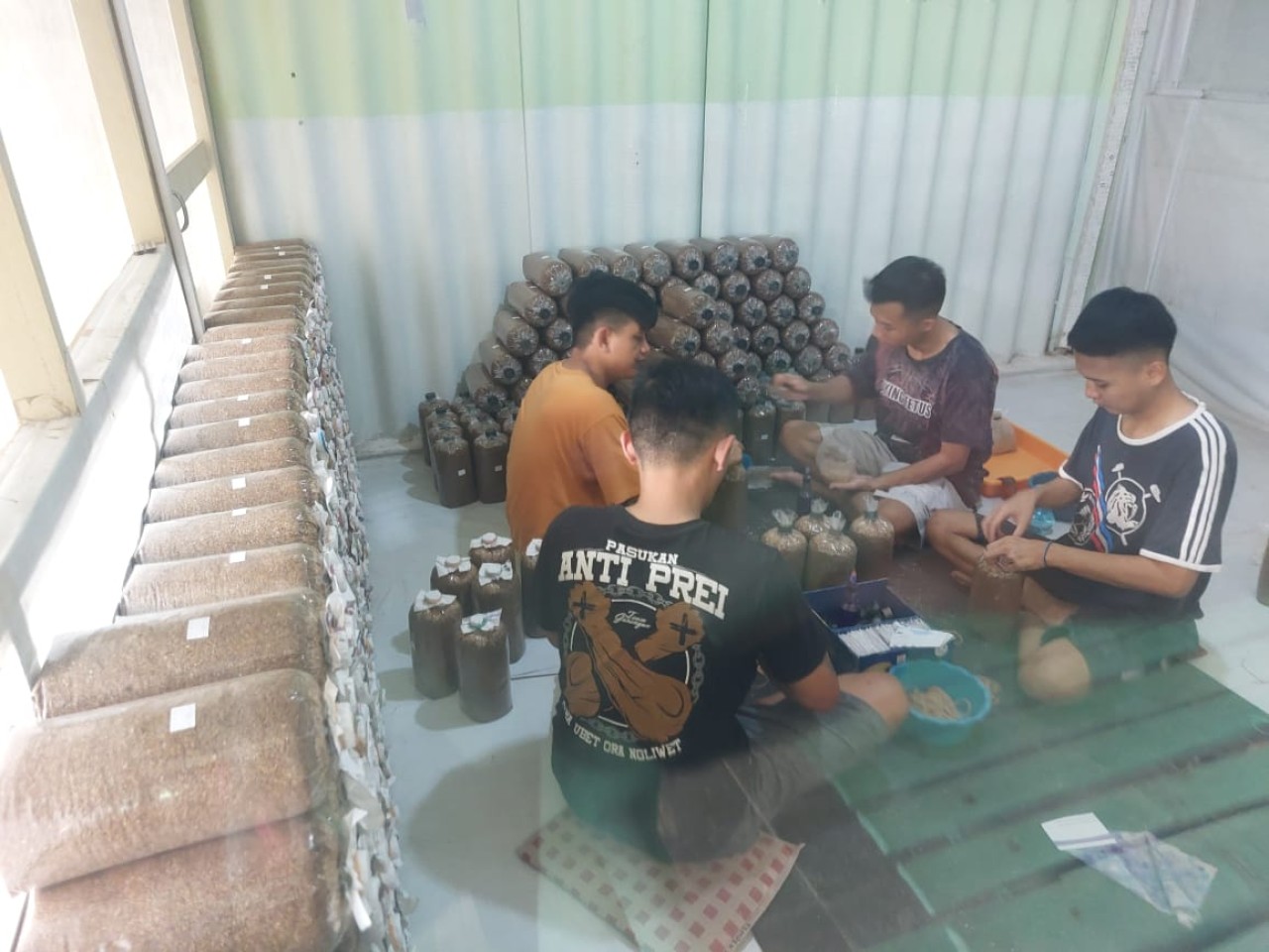 Narapidana Lapas Kelas I Malang Kantor Wilayah (Kanwil) Kemenkumham Jawa Timur mengikuti kegiatan budidaya jamur tiram. (Foto: Gerhana/jatimnow.com)