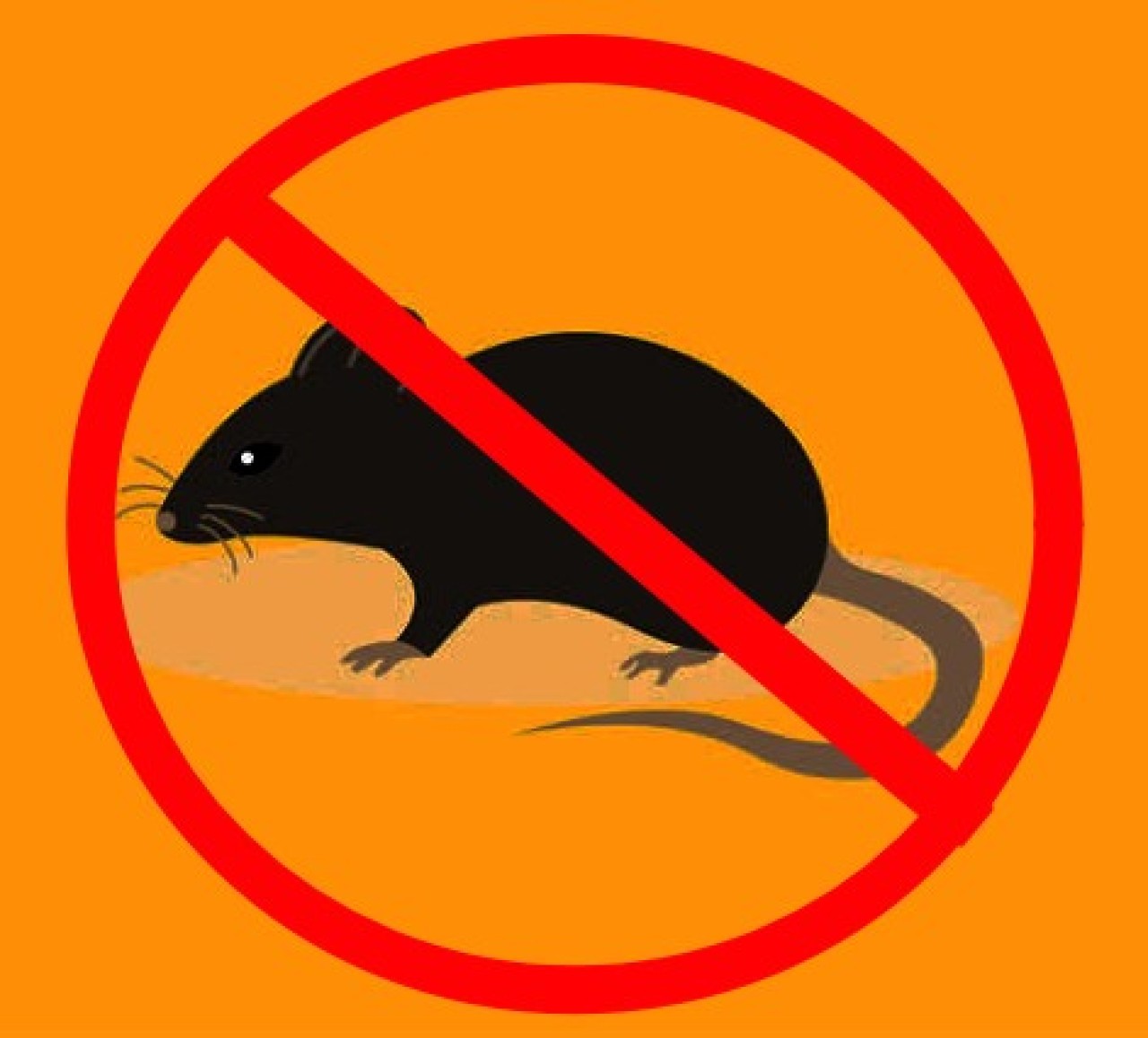 Ilustrasi wasapada penyakit Leptospirosis. (Foto: Gerhana/jatimnow.com)