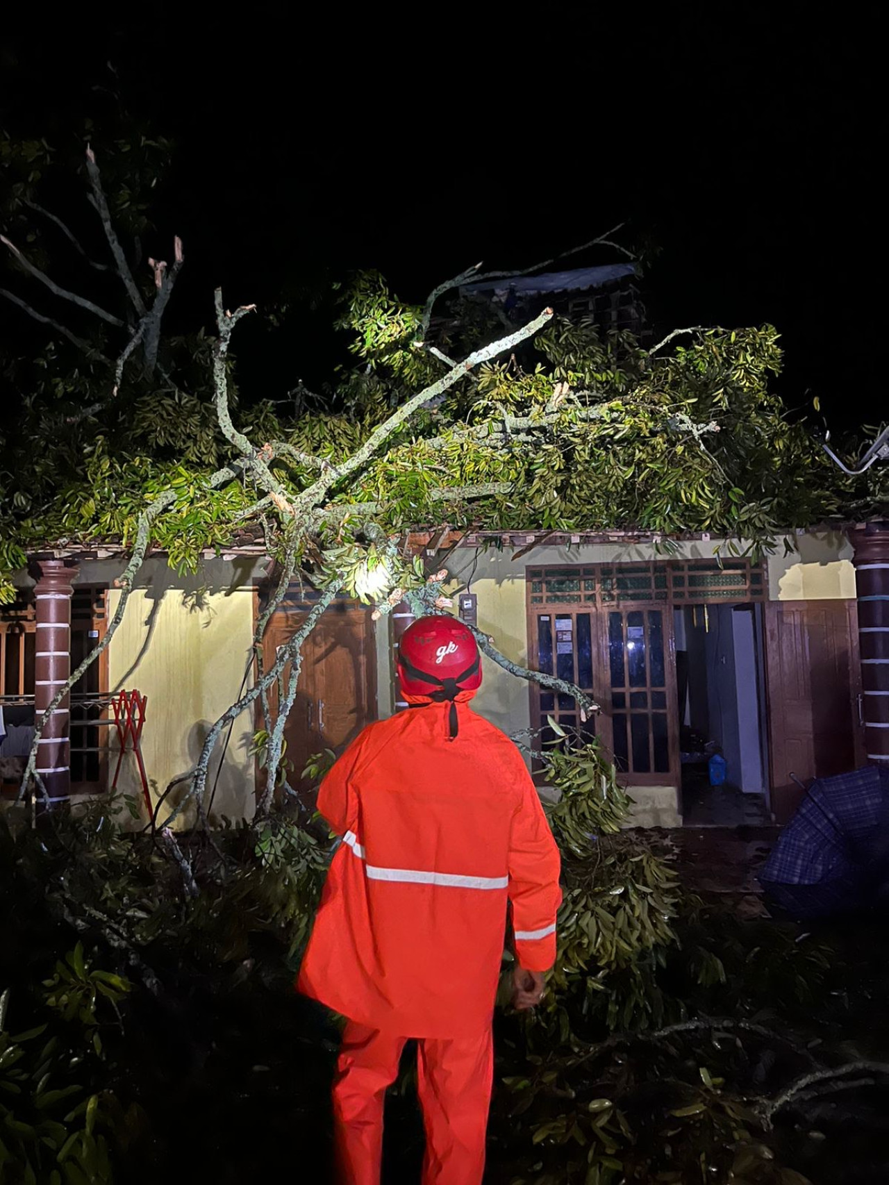 Rumah di Desa Wagir Lor tertimpa pohon tumbang. (Foto: BPBD Ponorogo)
