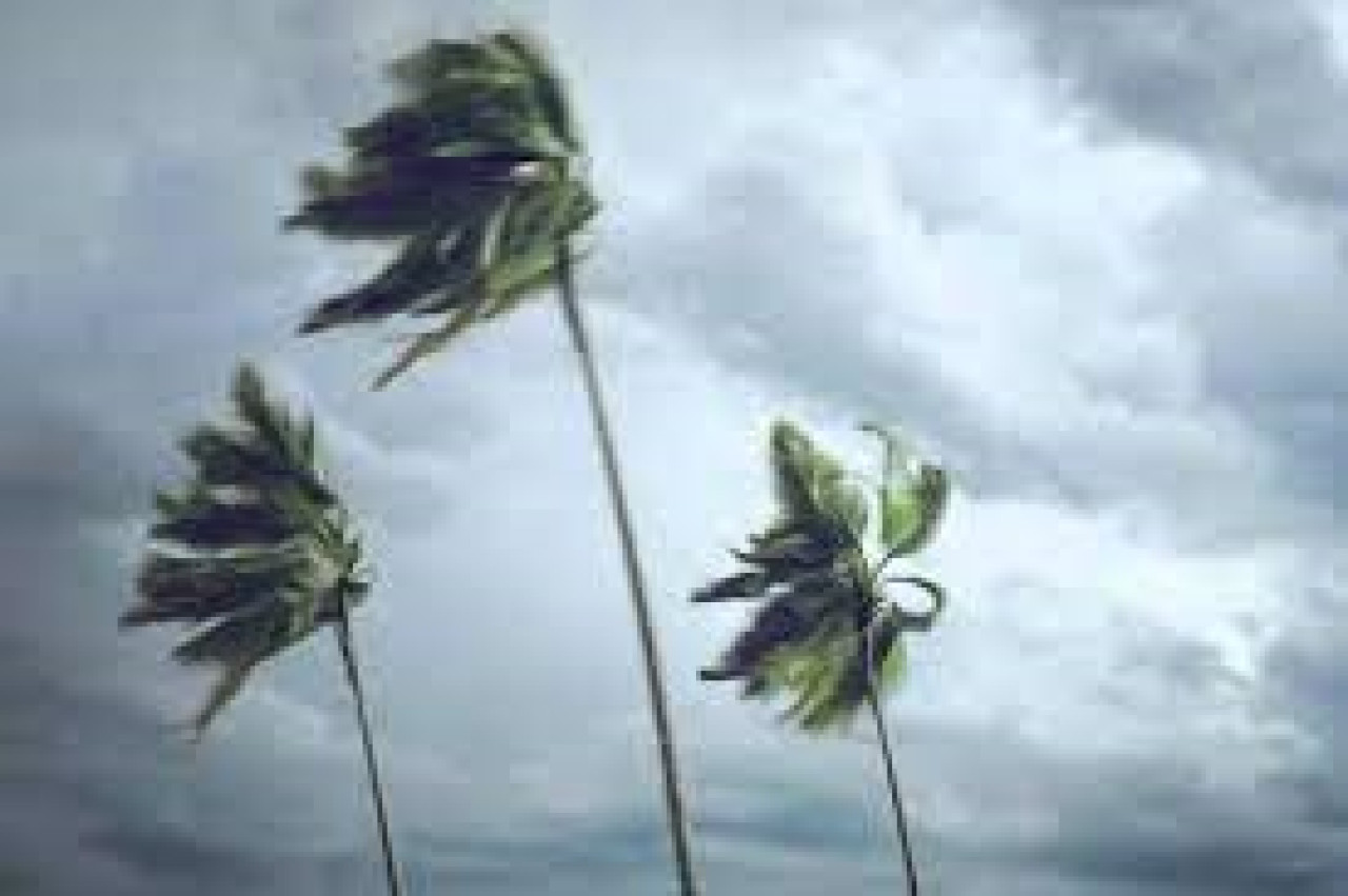 Prakiraan Cuaca Surabaya, Senin 11 Maret: Waspada Angin Kencang