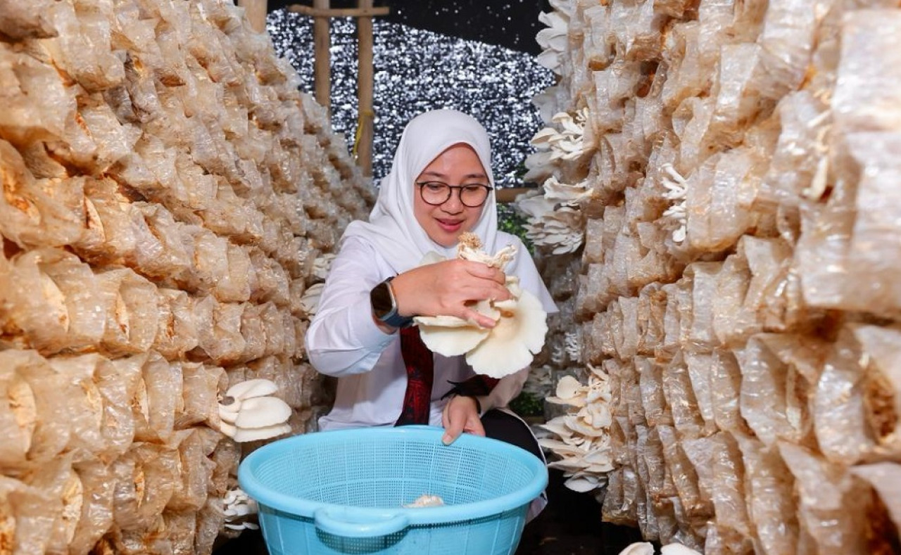 Budi daya jamurr di Dusun Glowong. (Foto: Humas Pemkab Banyuwangi)