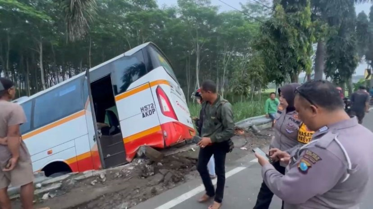 Bus Harapan Jaya terperosok ke sawah usai ditabrak sebuah Kijang Innova di Kediri. (Foto: Wahyu for jatimnow.com)