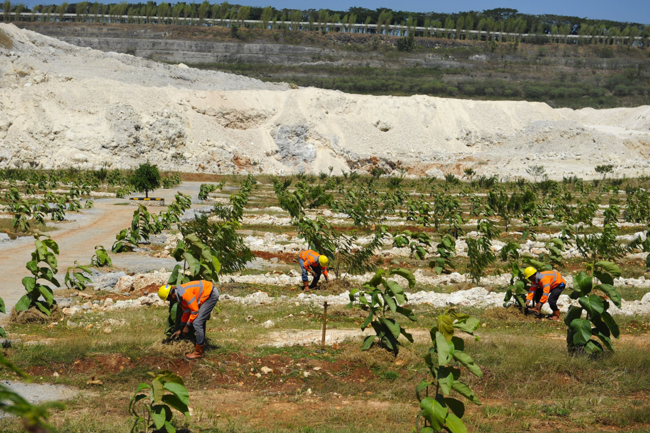 Proses revegetasi lahan pascatambang dengan sistem alur di SIG Pabrik Tuban. Teknik ini dilakukan dengan membuat lubang berbentuk alur memanjang seperti parit dengan dimensi tertentu sebagai media tanam, sehingga lebih efektif dan efisien. (Foto: SIG for 