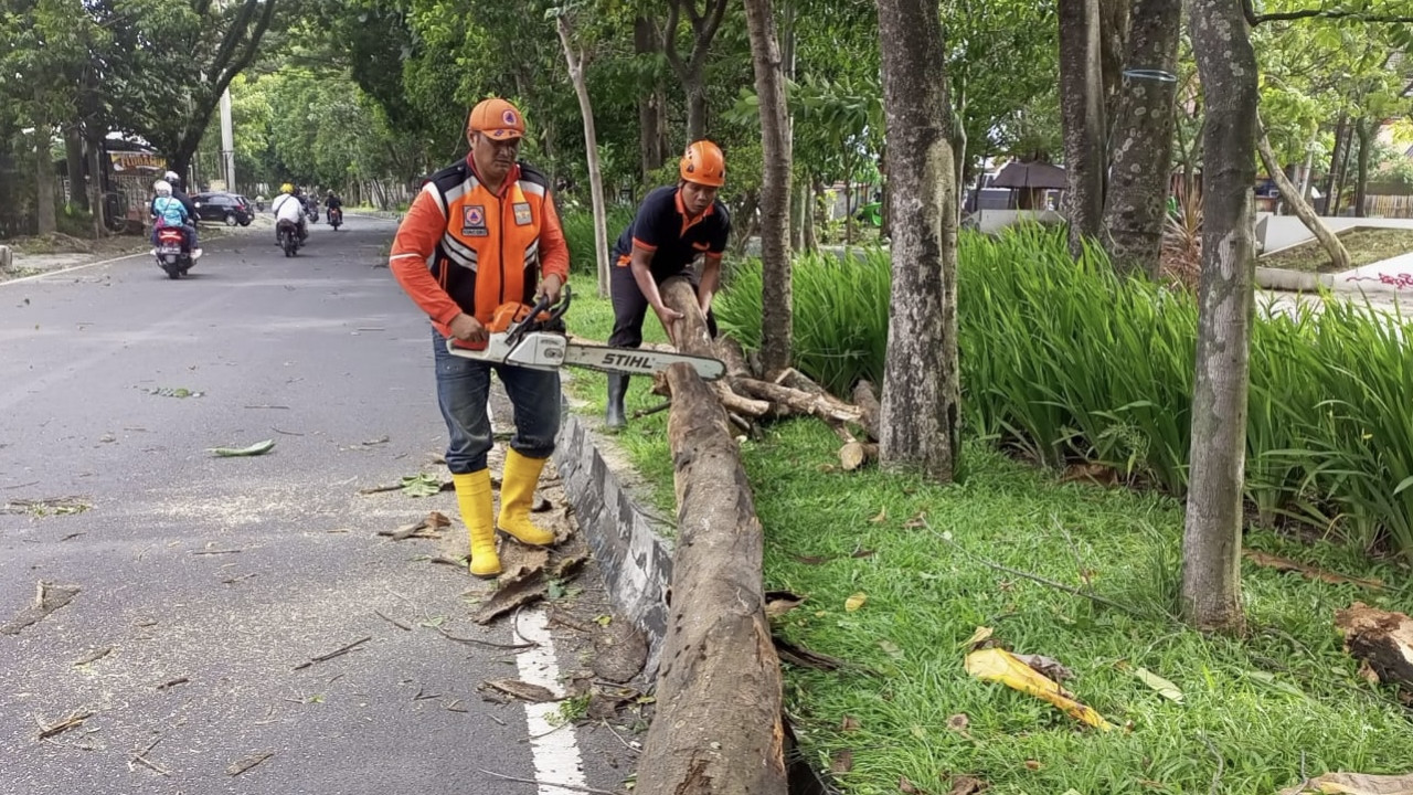 BPBD Kota Malang saat melakukan penanganan pohon tumbang. (Foto: BPBD Kota Malang/jatimnow.com)