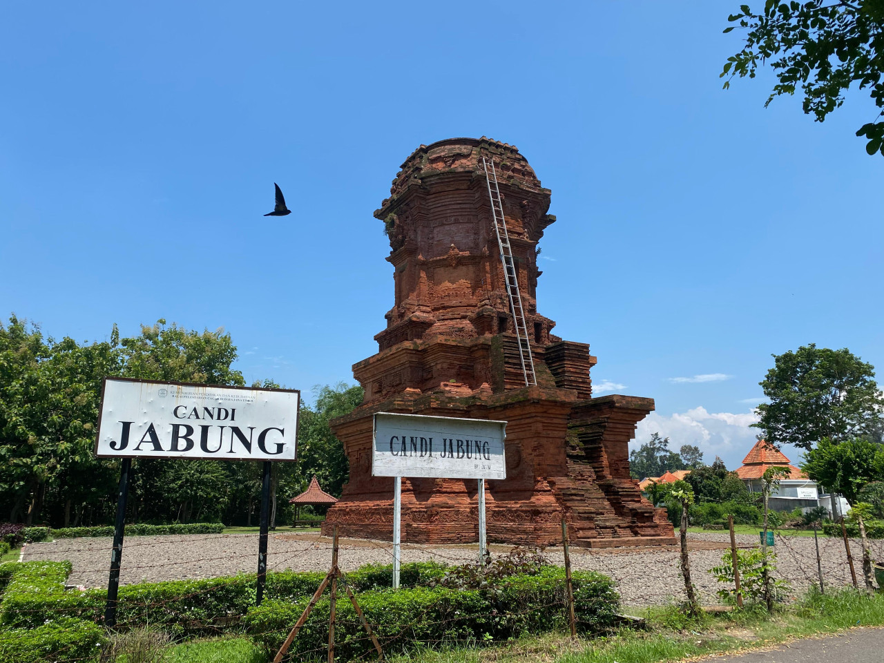 Candi Jabung di Kabupaten Probolinggo. (Foto: Haryo Agus/jatimnow.com)