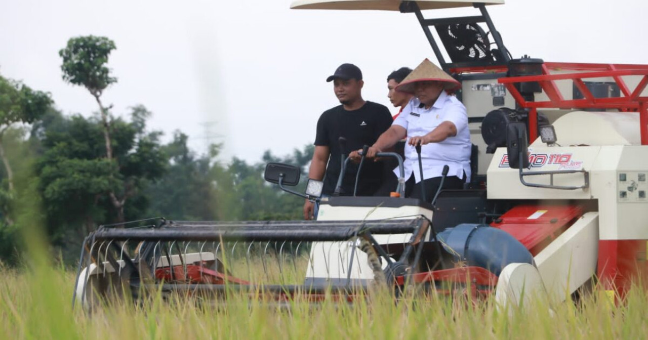 Diperta Kabupaten Probolinggo saat panen raya di Desa Seboro, Kecamatan Krejengan (Humas Pemkab Probolinggo)