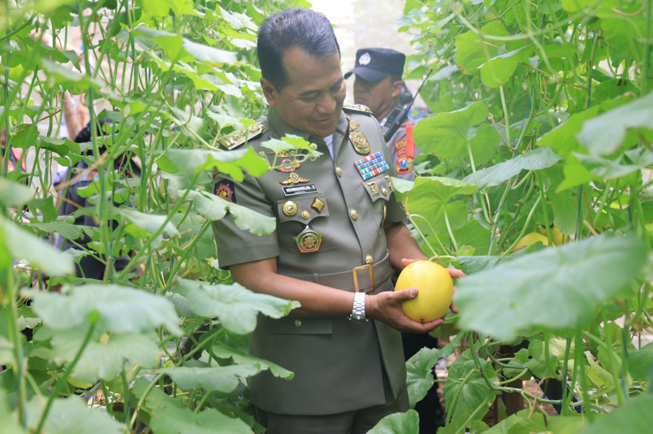 Pj Wali Kota Probolinggo saat mengunjungi green house melon hidroponik. (Foto: Humas Pemkot Probolinggo for jatimnow.com)