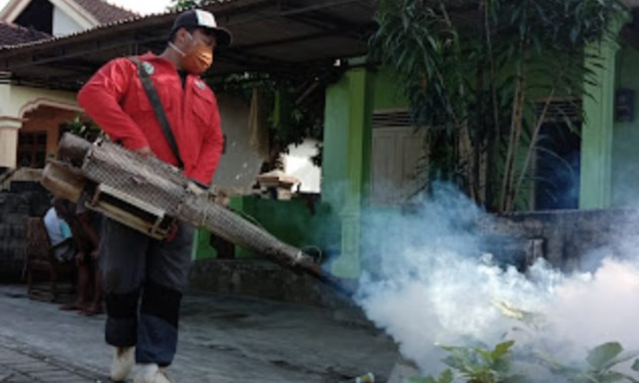 Demam Berdarah di Tulungagung Meningkat, 6 Meninggal Dunia
