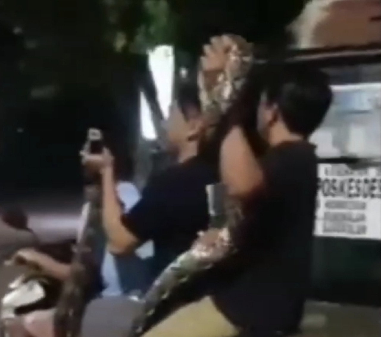 Warga bersama-sama menangkap ular piton. (Foto: tangkapan layar media sosial warga)