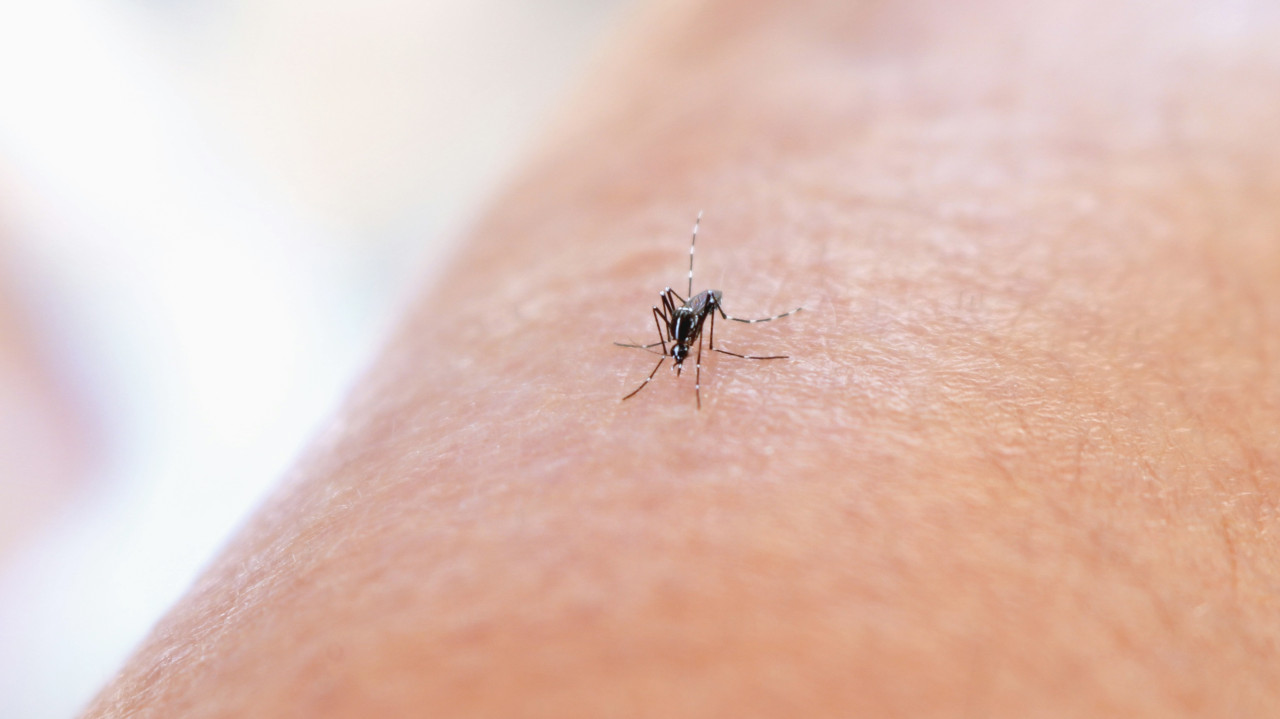 Ilustrasi. (Foto: National Institute of Allergy and Infectious Diseases/Unsplash)