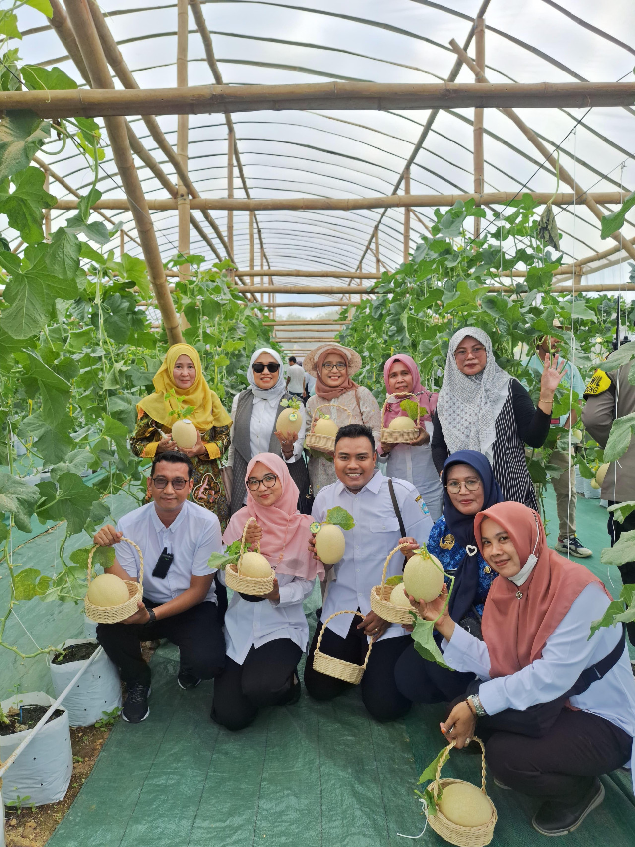 Pengunjung petik buah melon dalam tradisi kupatan Gunung Menjuluk. (Foto : Adyad Ammy Iffansah/jatimnow.com)