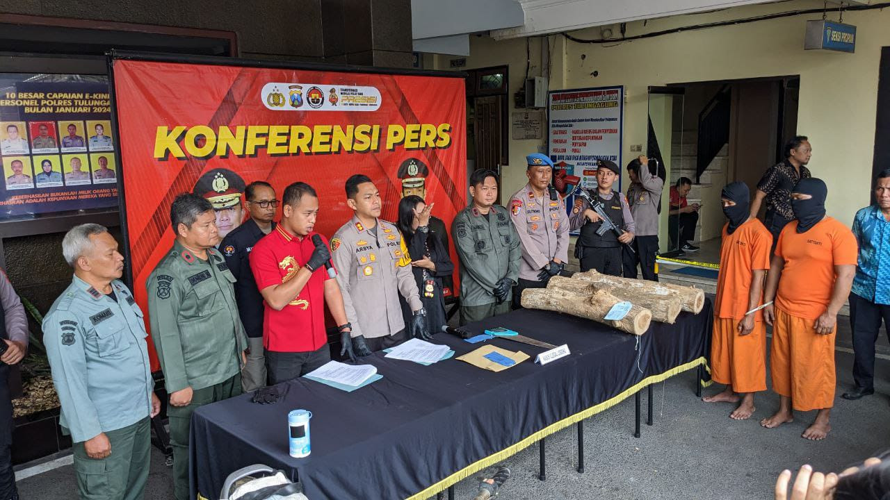 Curi Pohon Jati Milik Perhutani, 2 Pria di Tulungagung Diringkus Polisi