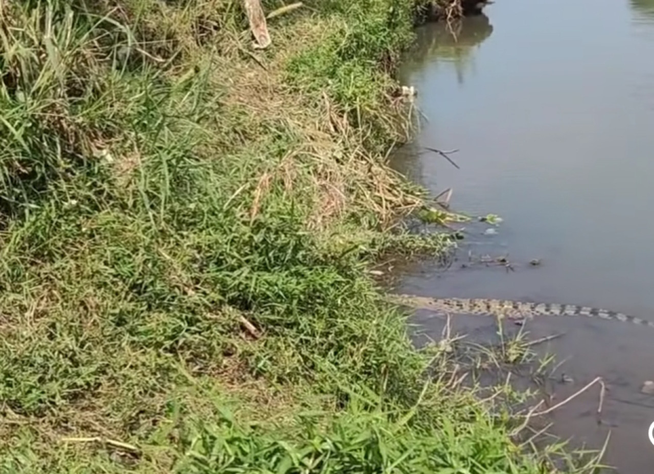 Tangkapan layar media sosial. (Foto: Sugianto/jatimnow.com)