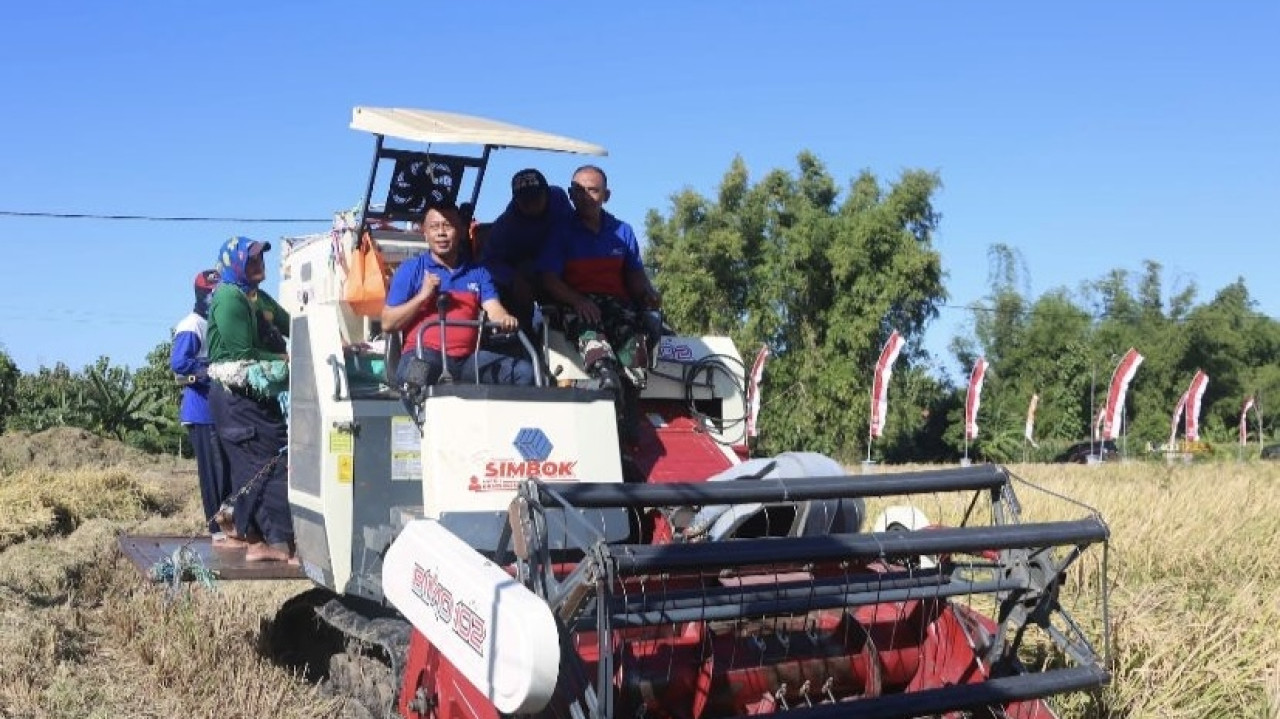 Panen Raya di Ponorogo, Transformasi Lahan Kering jadi Sumber Padi Berkah
