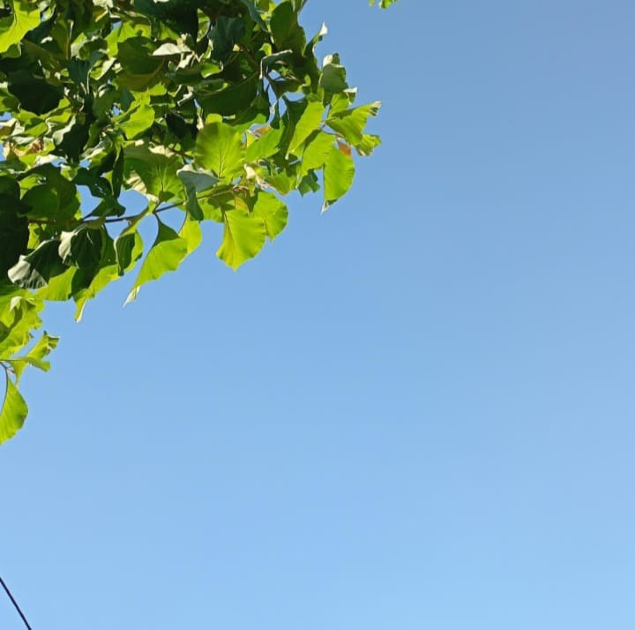 Prakiraan Cuaca Surabaya Minggu 26 Mei: Akhir Pekan Tanpa Mendung dan Hujan