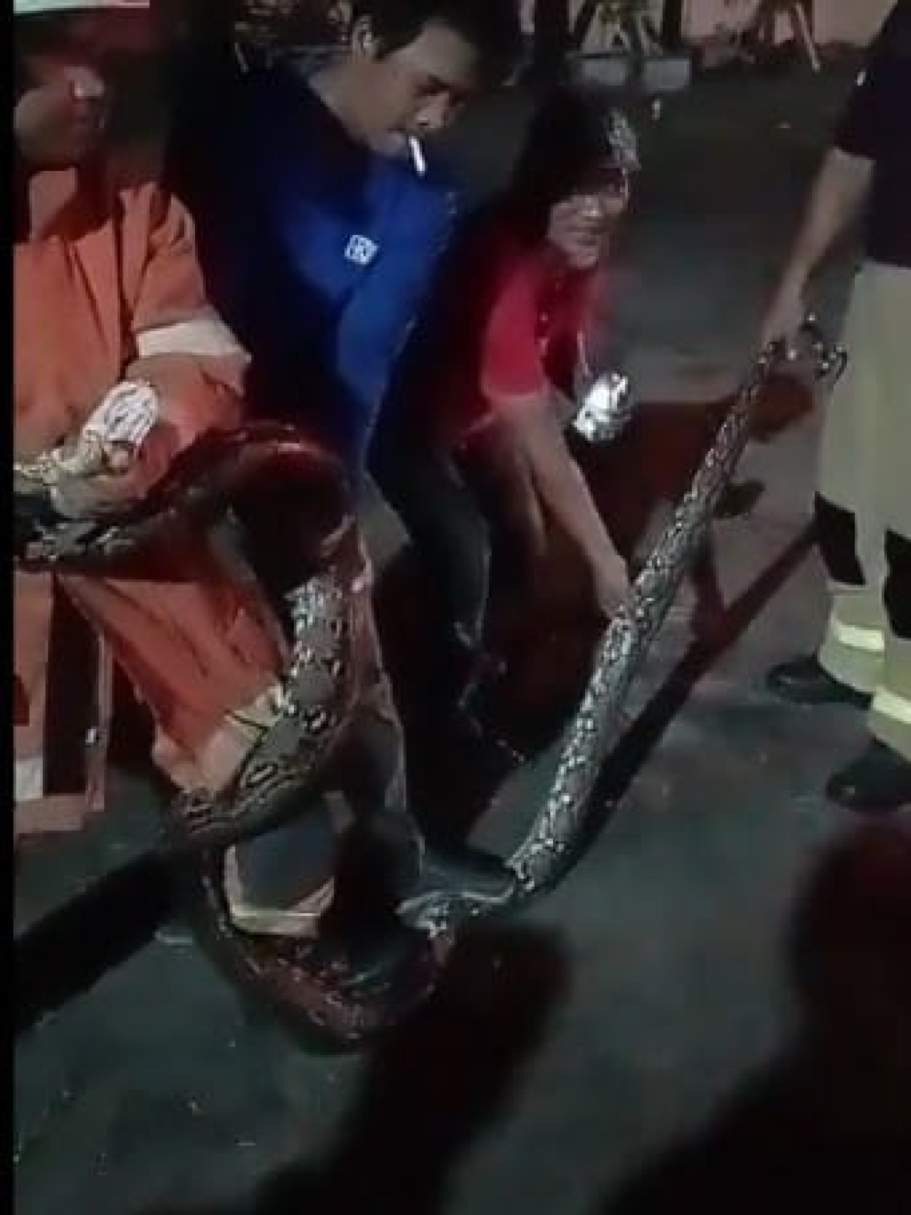 Geger Ular Piton Satroni Asrama Haji Sukolilo Surabaya