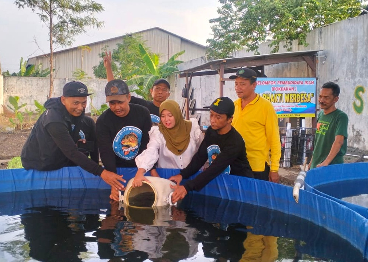 Pokdakan Mina Bhakti Merdesa dan warga saat menebar benih ikan Desa Banjarkemantren Sidoarjo. (Foto: Ahaddiini HM/jatimnow.com)