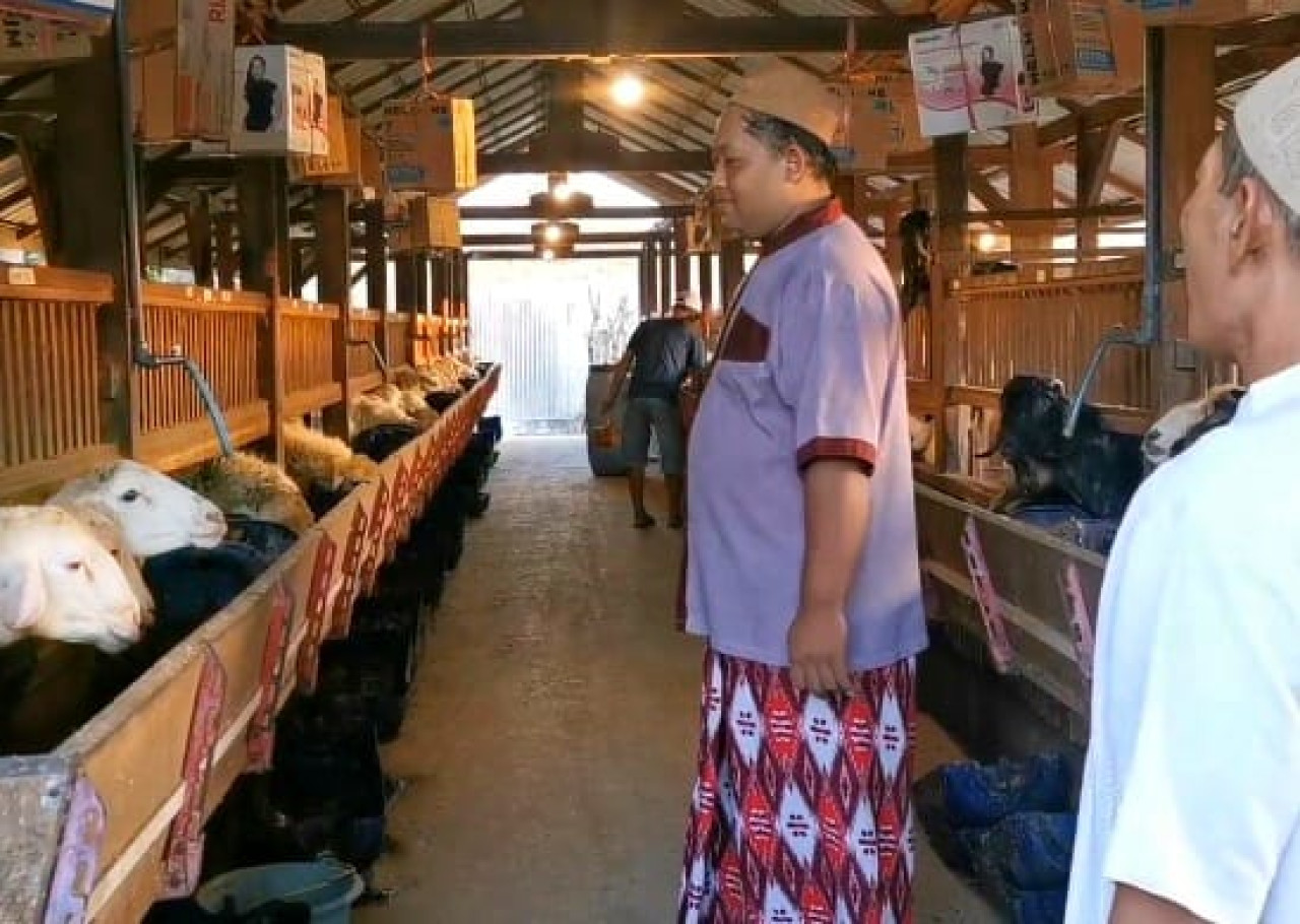 Kandang Kambing Bak Villa di Prambon Sidoarjo Ramai Dikunjungi Warga