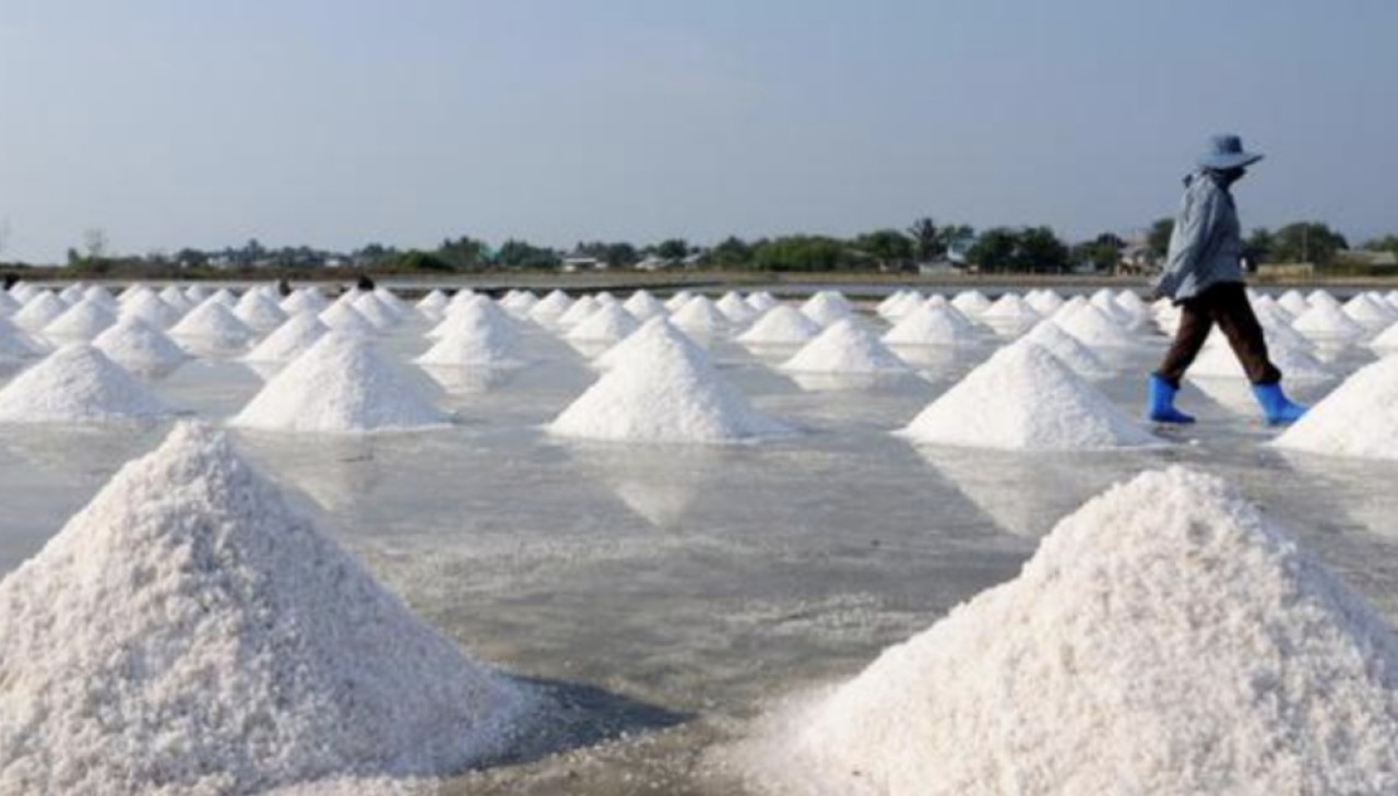 Dishub Sampang Imbau Pengusaha Tidak Angkut Garam Basah, Bahaya!