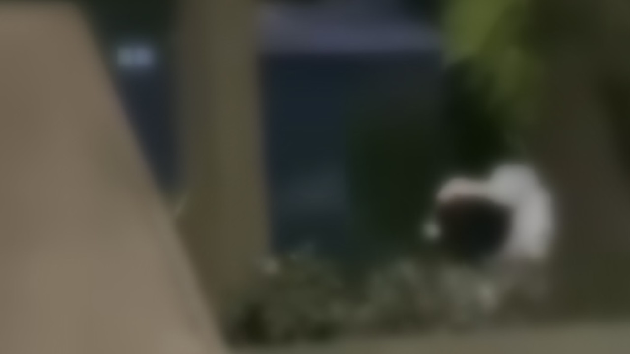 Viral Video Mesum Sejoli di Taman Sekartaji Kota Kediri, Warganet: Peehh!