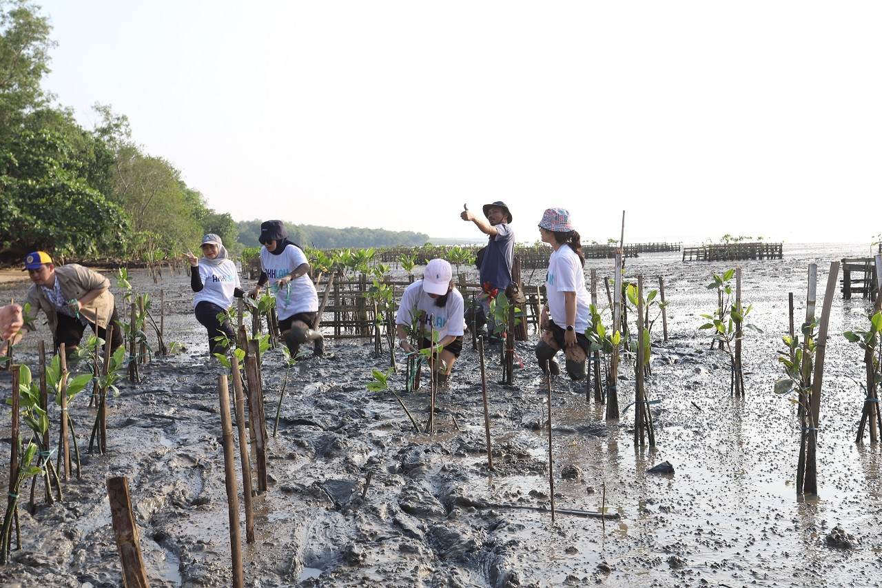 Program sulam mangrove dilakukan di Desa Bancaran, Kabupaten Bangkalan, Madura. (Foto: Humas Pelindo Regional 3 for jatimnow.com)