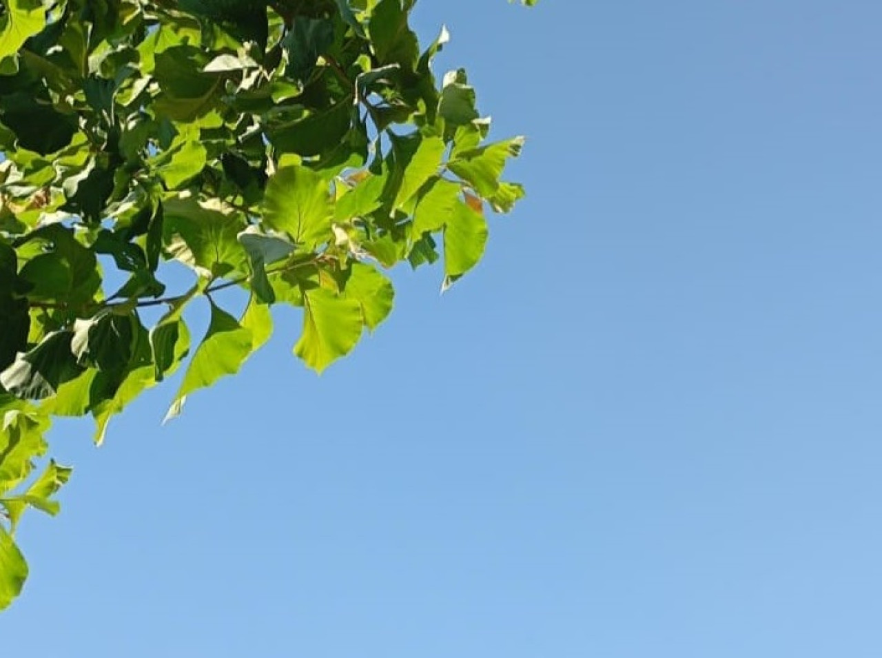 Ilustrasi. (dok jatimnow.com)