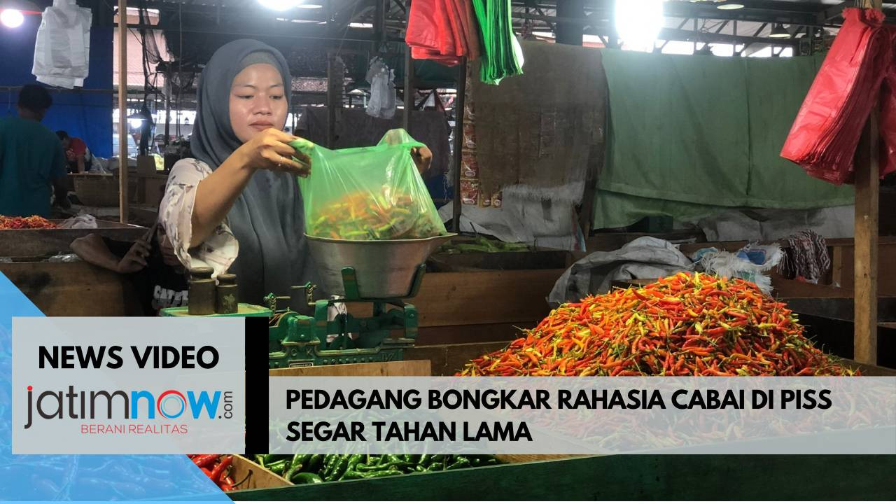 Video: Pedagang Bongkar Rahasia Cabai di PISS Segar Tahan Lama