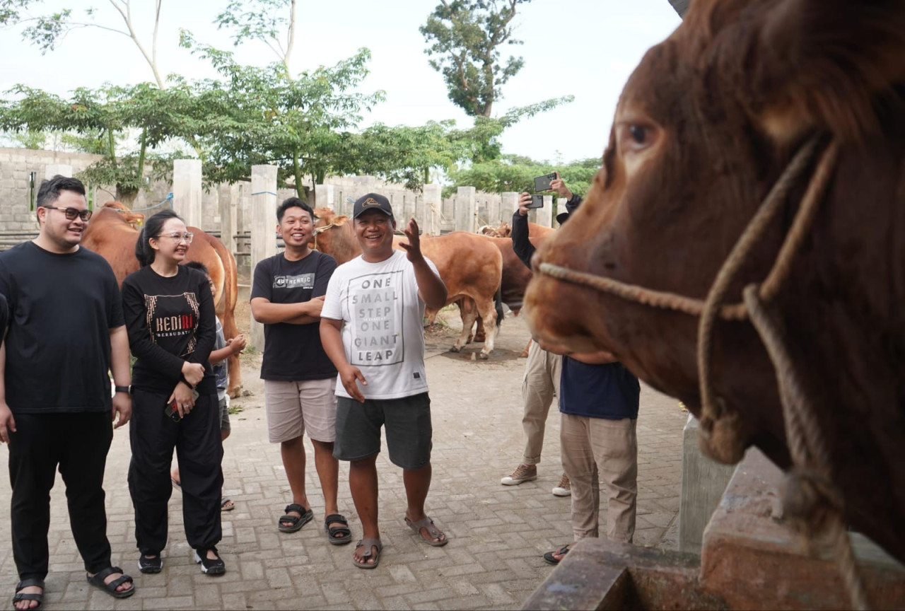 Mas Dhito bersama istri saat melihat sapi kurban di IBS Farm. (Foto: Humas Pemkab Kediri/jatimnow.com)