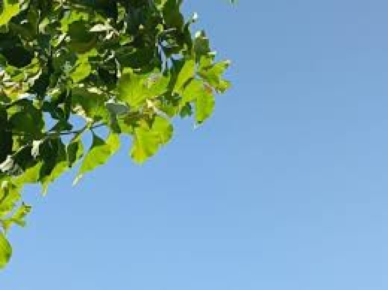 Ilustrasi. (dok jatimnow.com)