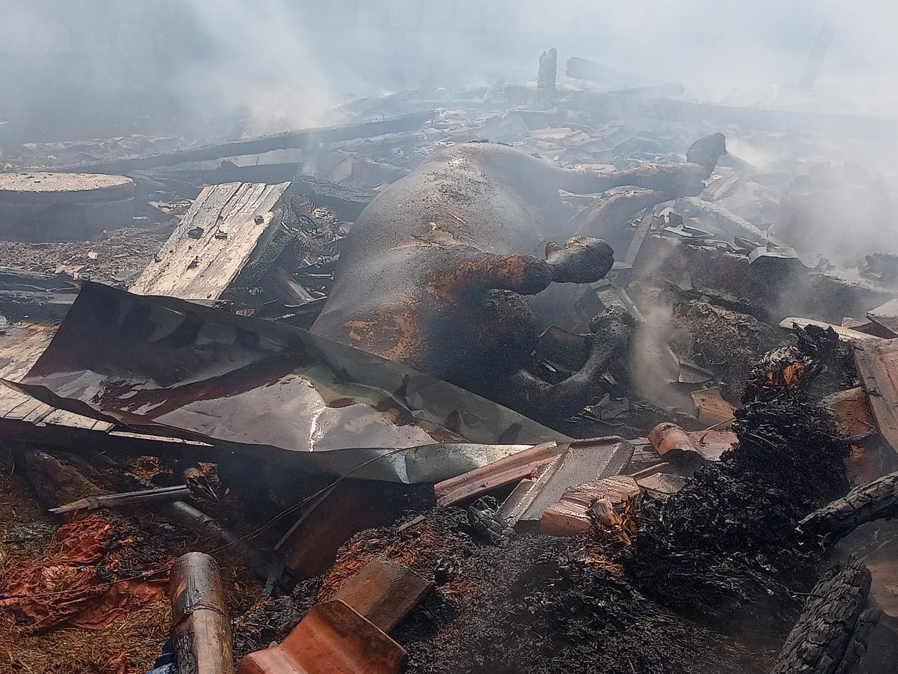 Kandang di Lamongan Terbakar Sambar 3 Rumah, 4 Sapi Terpanggang