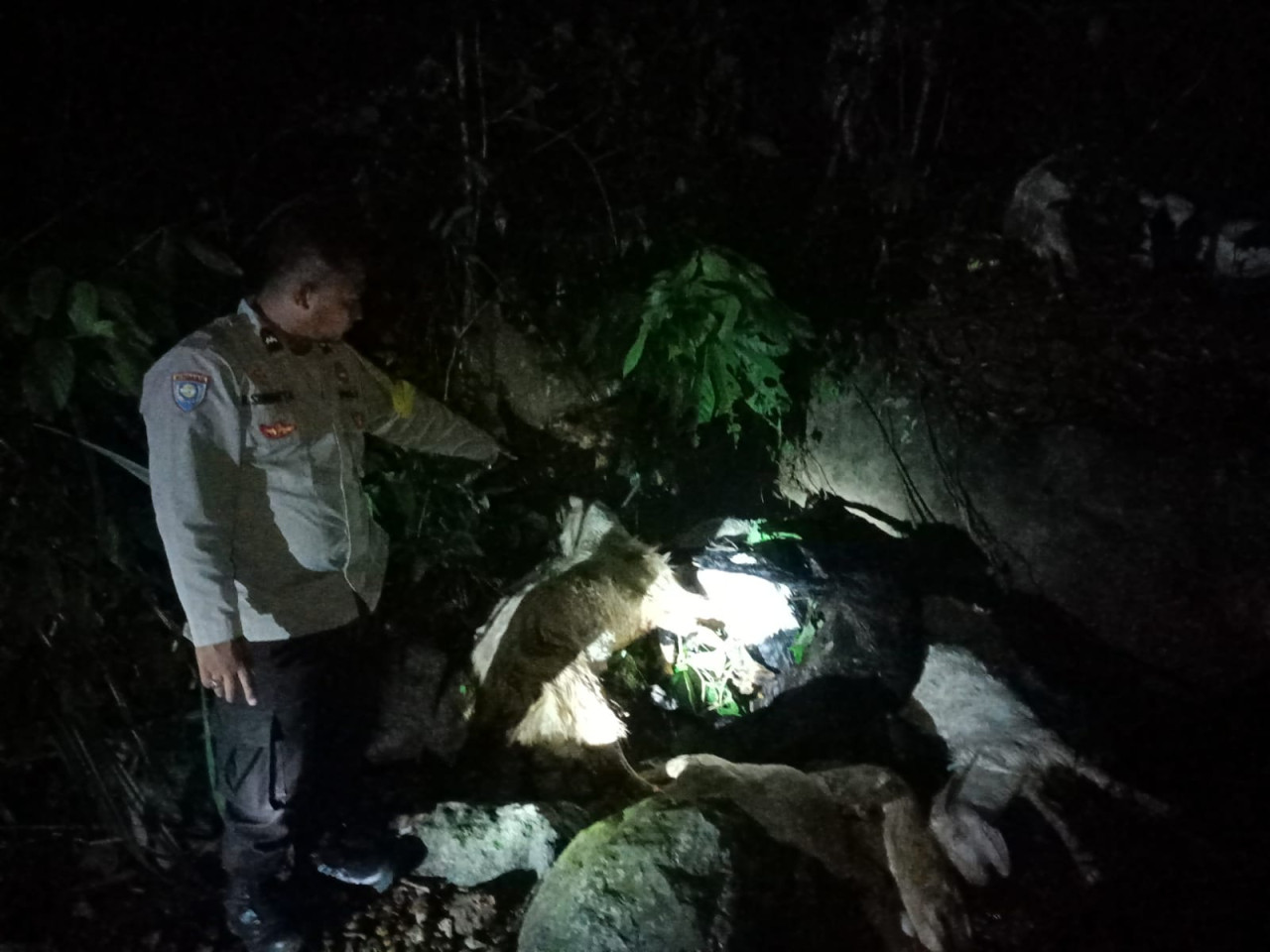 Polisi mendatangi lokasi penemuan kambing mati misterius di Sungai Gumitir Jember (Foto: Polsek Sempolan for jatimnow.com)