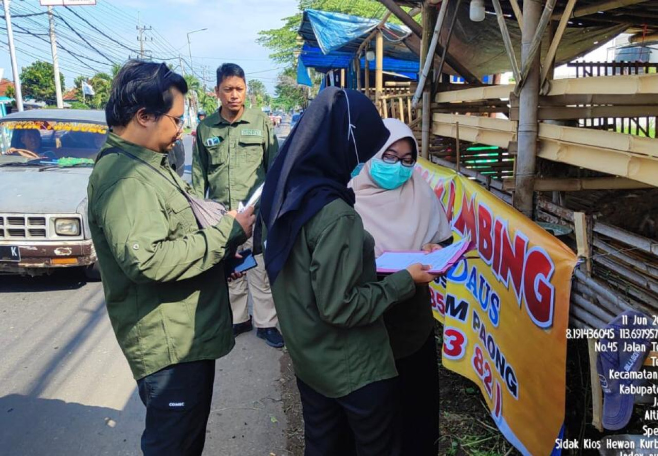 Petugas Dinas Peternakan Jember sidak lapang pedagang hewan. (Foto: Eko for jatimnow.com)