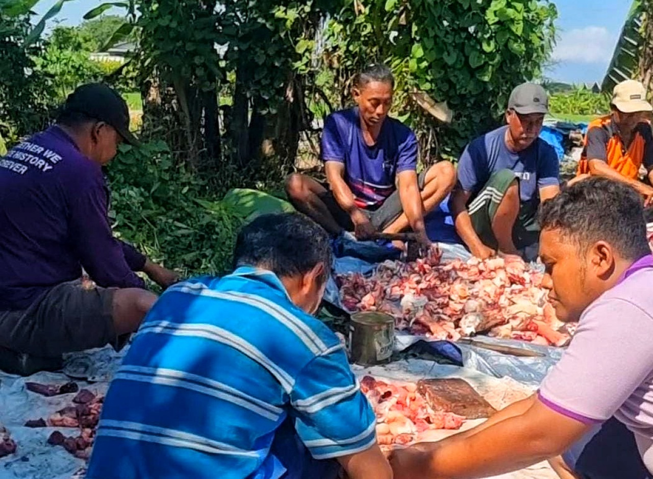 Suasana Idul Adha di Kampung Tangguh, Krian Sidoarjo. (Foto: Ahaddiini HM/jatimnow.com)