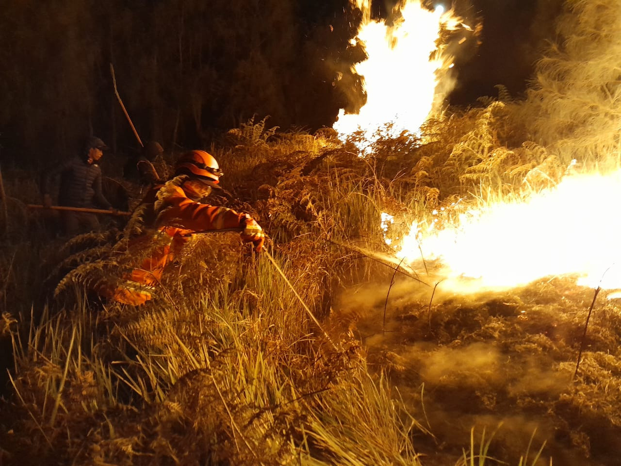 Tim BPBD Jatim berupaya memadamkan api  di Gunung Bromo. (Foto: Tim BPBD Jatim for jatimnow.com)