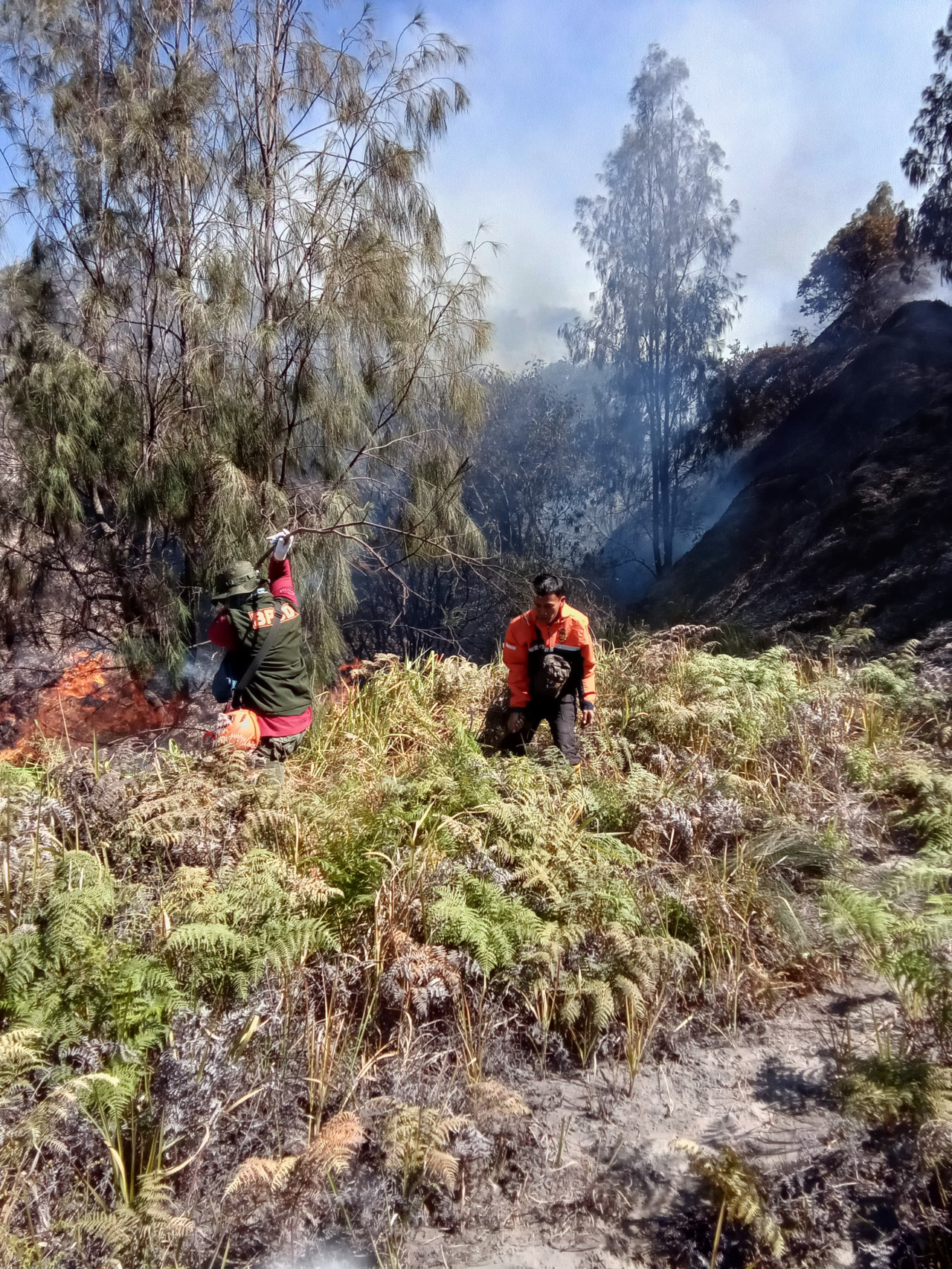 BPBD Probolinggo saat berusaha memadamkan api di kawasan Bromo. (Foto: BPBD Probolinggo for jatimnow.com)