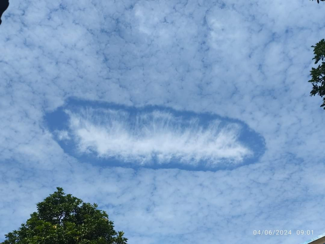 Awan Berlubang, Penghargaan Polresta Sidoarjo, Kampanye di Acara Dinkop UKM Jatim