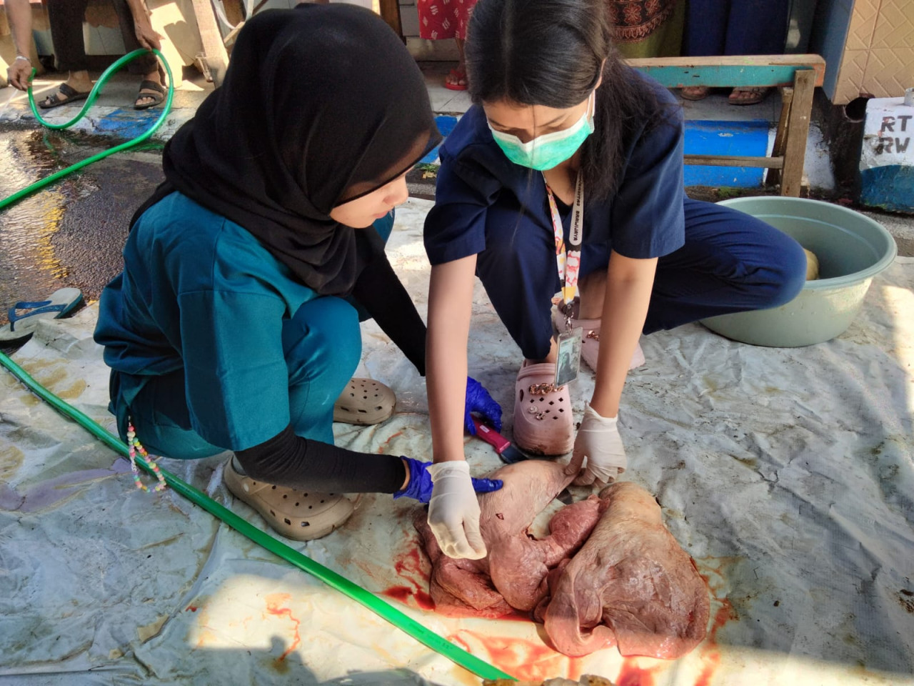 Pemeriksaan bagian hewan kurban di Masjid Babul Hidayah. (Foto: Gerhana/jatimnow.com)