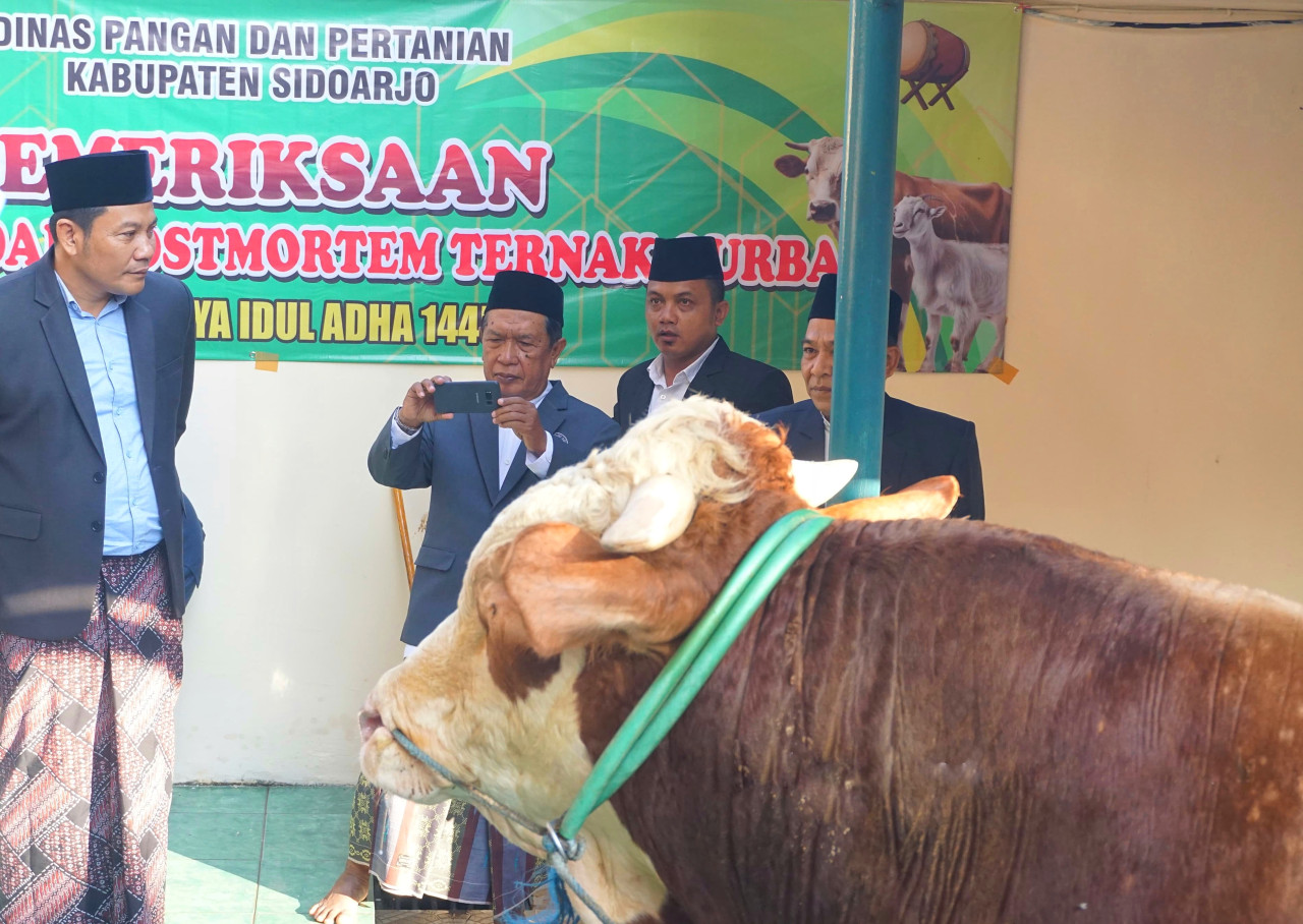 Pemkab Sidoarjo Serahkan Sapi Kurban 1 Ton, Plt Bupati Sampaikan Pesan Ini