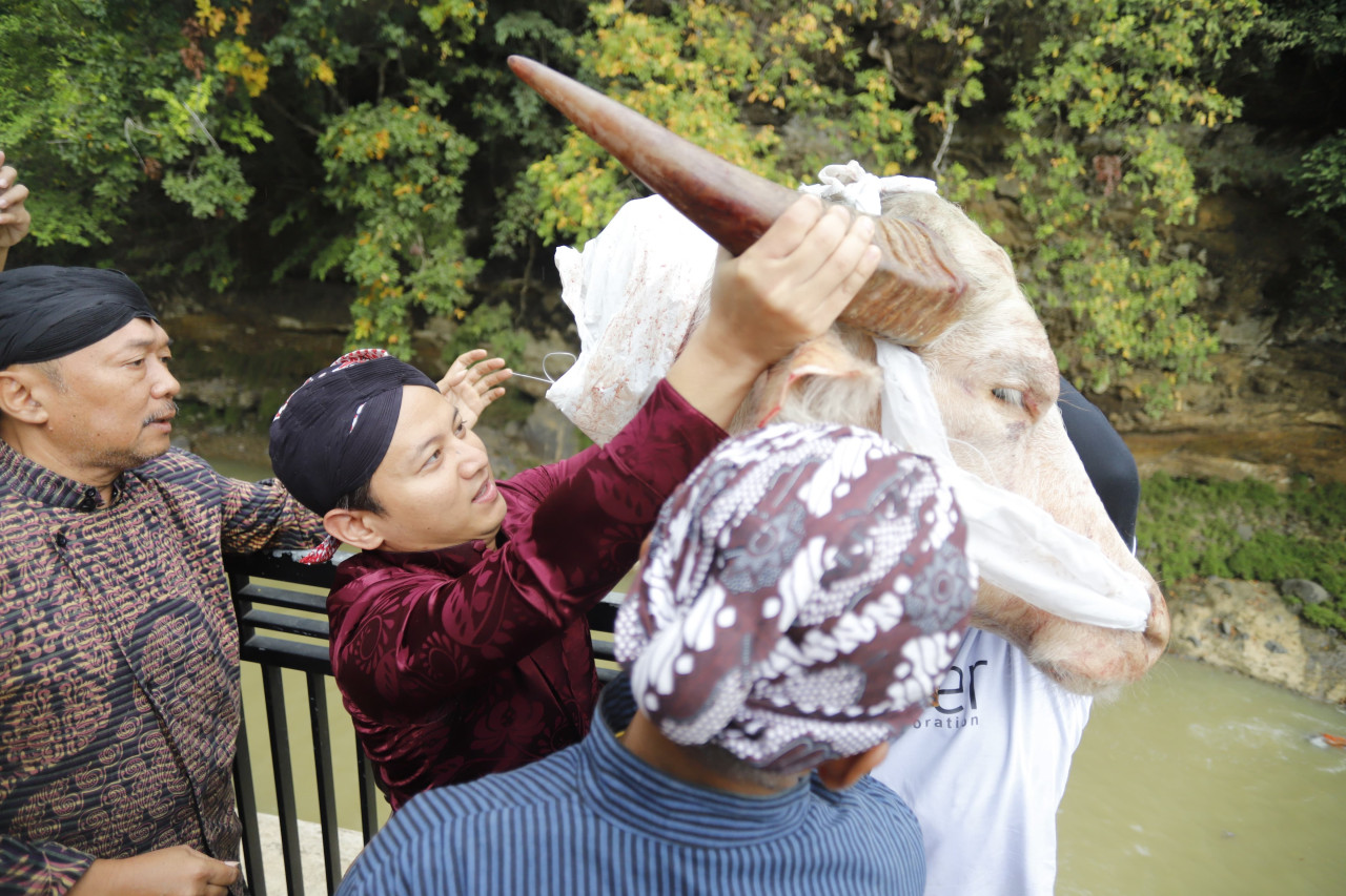 Bupati Trenggalek Mochamad Nur Arifin saat melempar kepala kerbau. (Foto: Prokopim Trenggalek)