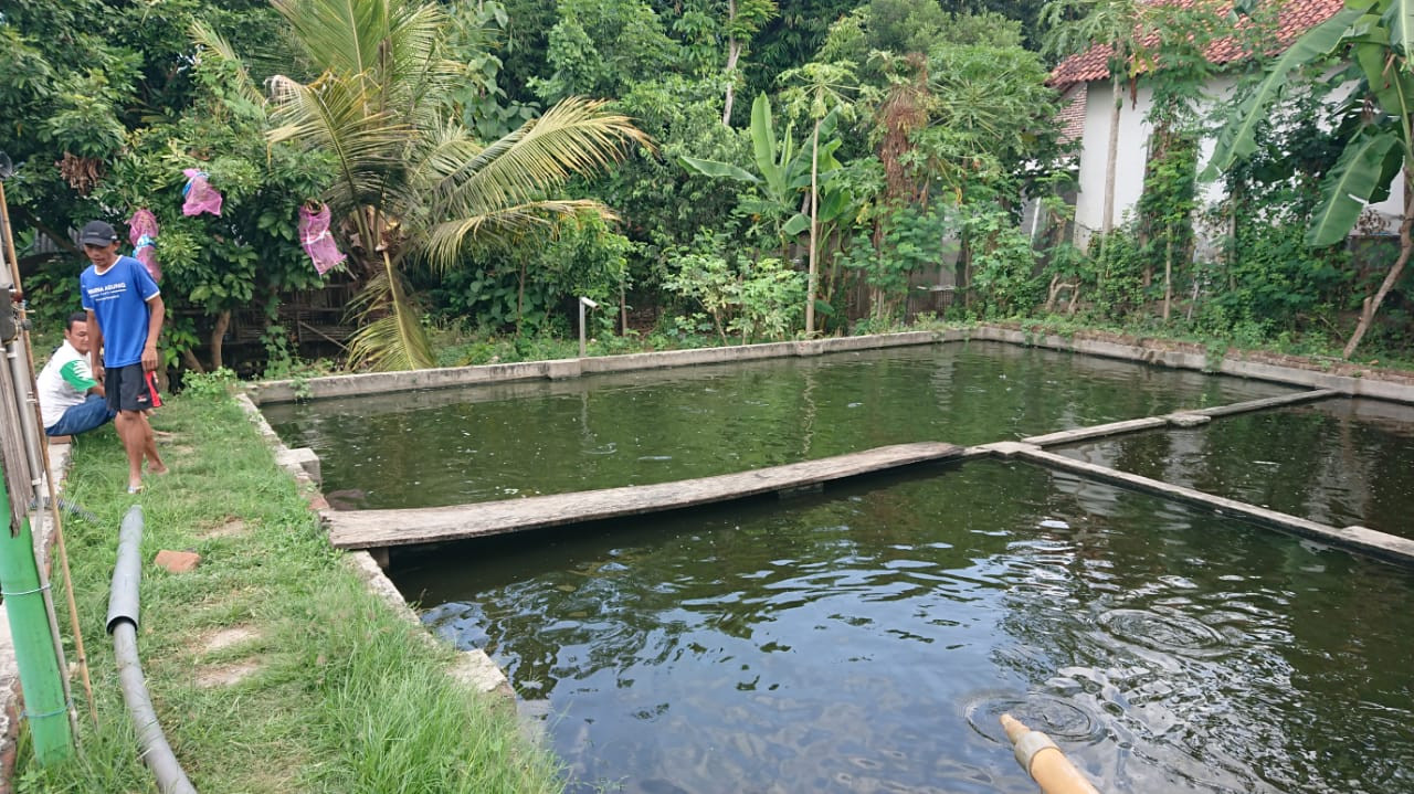 Kolam ikan patin, lokasi tenggelam para korban. (Foto: Bramanta Pamungkas/jatimnow.com)