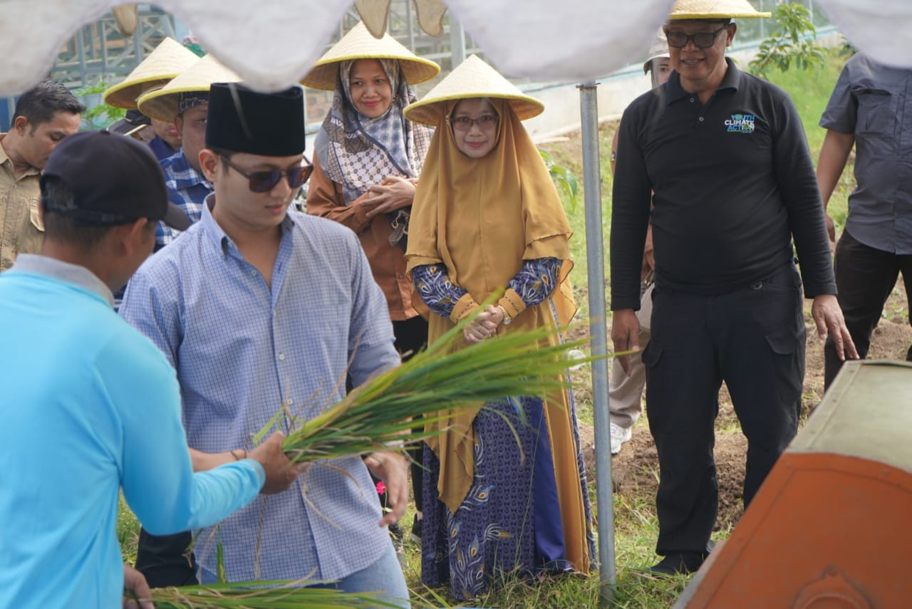 Bupati Trenggalek Panen Padi di Lahan Hemat Air