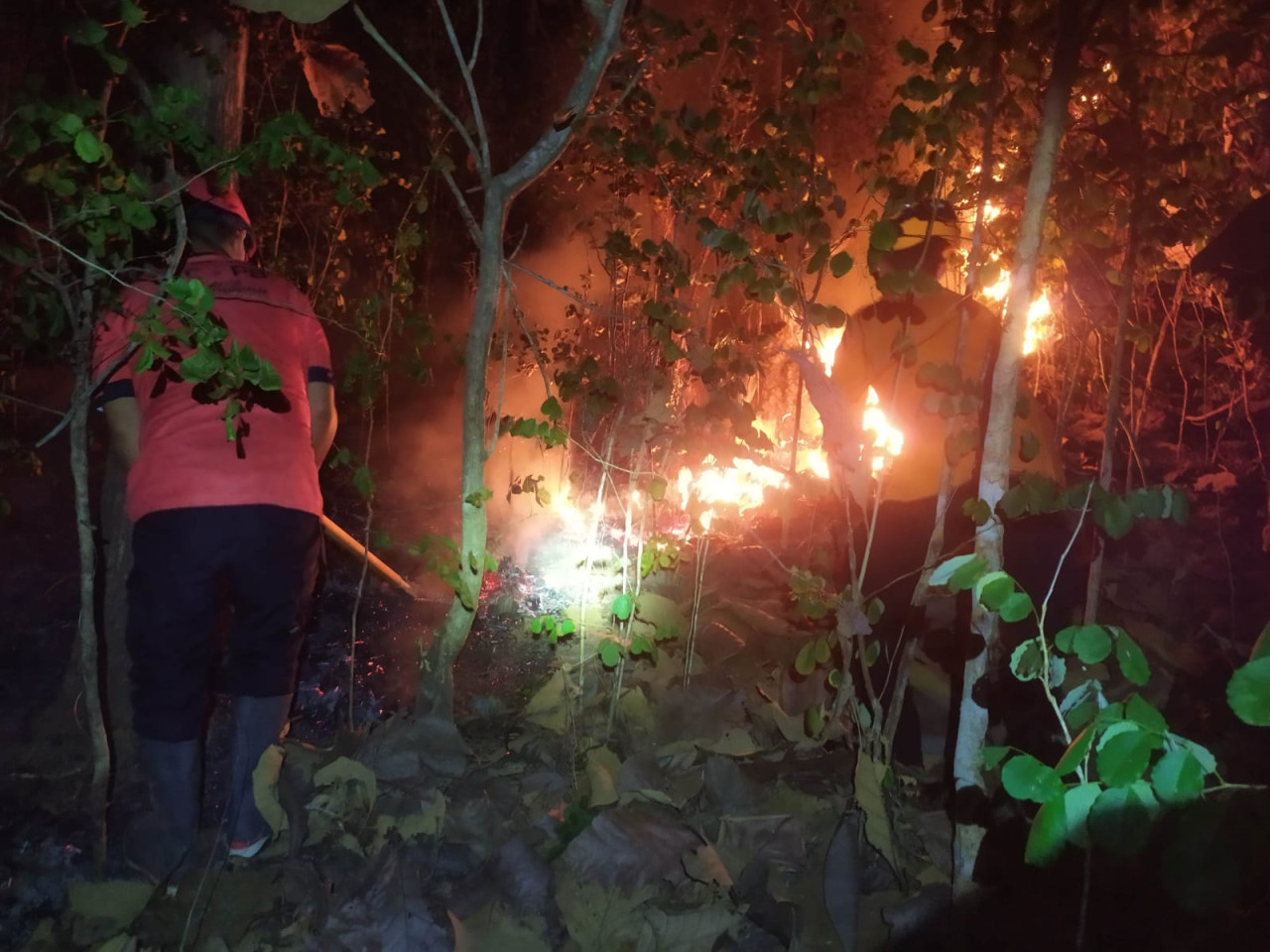 Petugas saat berusaha memadamkan kobaran api. (Foto: BPBD Trenggalek/jatimnow.com)