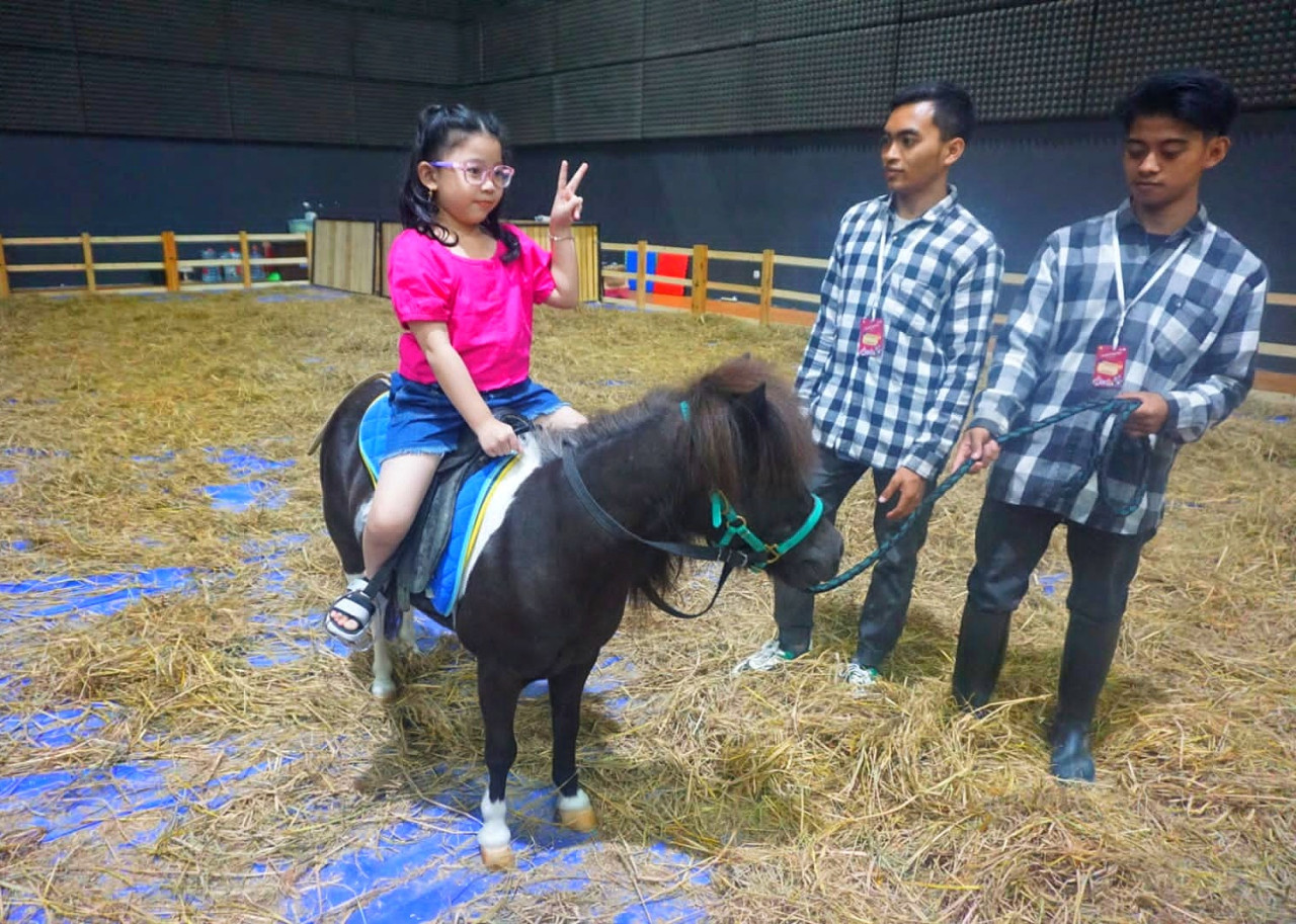 Mengenal Falabella, Kuda Kecil Seharga Xpander di K Gallery Pandaan Pasuruan